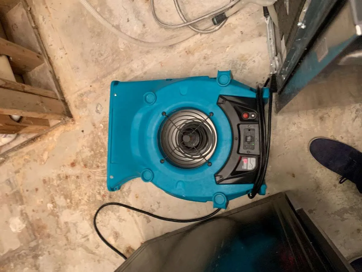 Air mover drying equipment for Mold Remediation & Removal in Walton