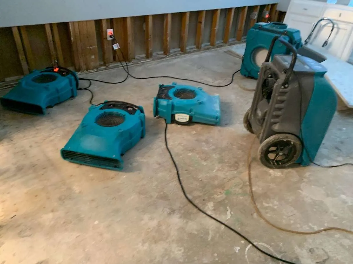 Mold Remediation & Removal in Walton, NY